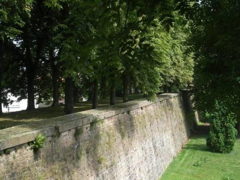 Chambres D'Hotes Le Domaine Des Remparts Sélestat Esterno foto
